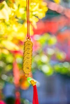 phản hồi Sodo