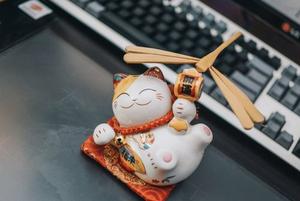 phản hồi Sodo